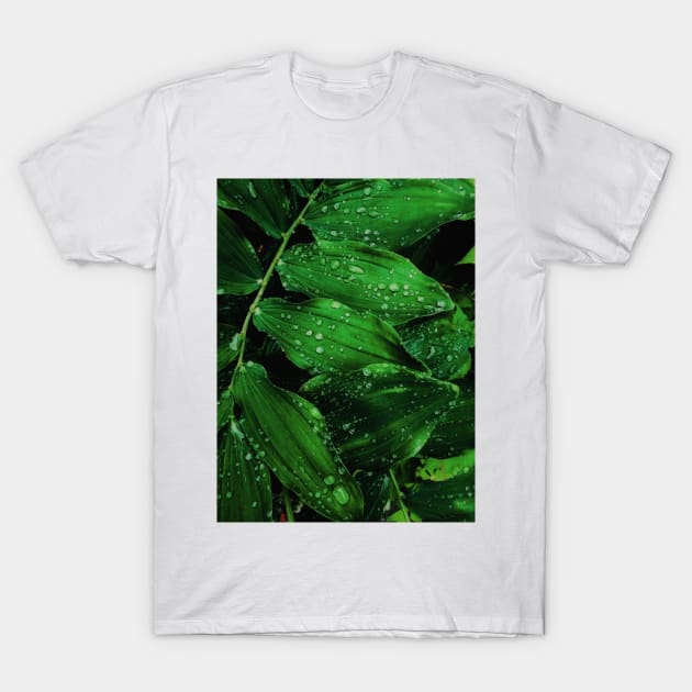 Nature's Jewels T-Shirt by aestheticand